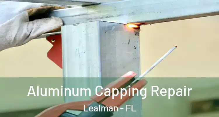  Aluminum Capping Repair Lealman - FL