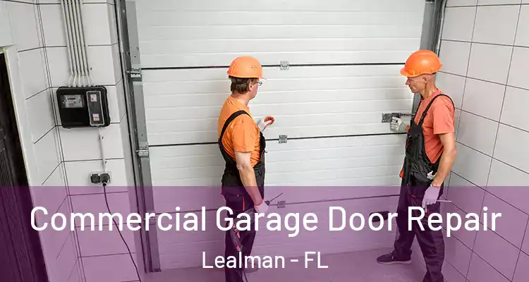  Commercial Garage Door Repair Lealman - FL
