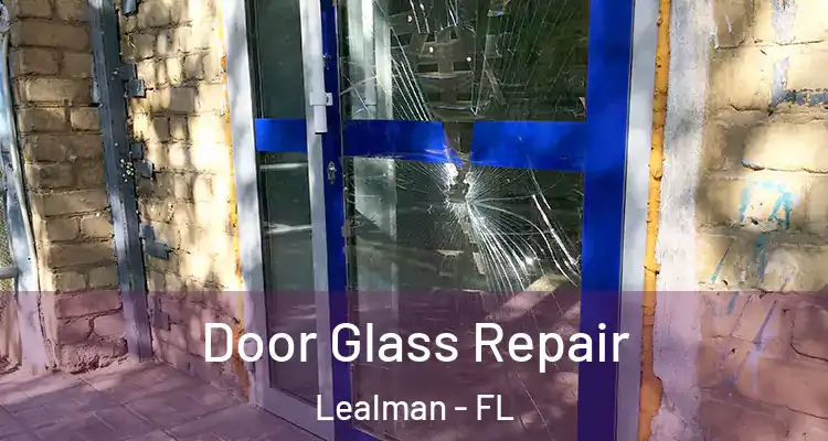  Door Glass Repair Lealman - FL