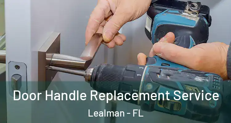  Door Handle Replacement Service Lealman - FL