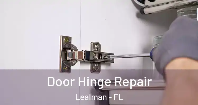  Door Hinge Repair Lealman - FL
