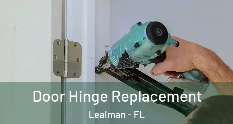  Door Hinge Replacement Lealman - FL