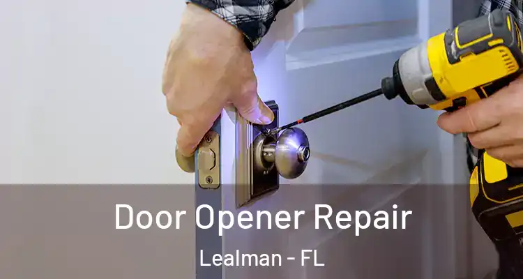  Door Opener Repair Lealman - FL