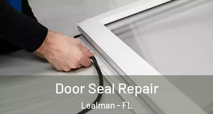  Door Seal Repair Lealman - FL