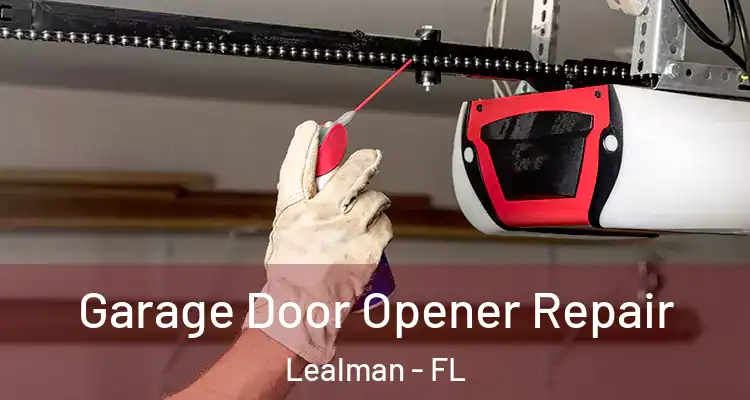  Garage Door Opener Repair Lealman - FL