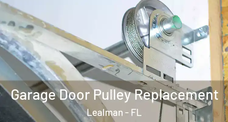  Garage Door Pulley Replacement Lealman - FL