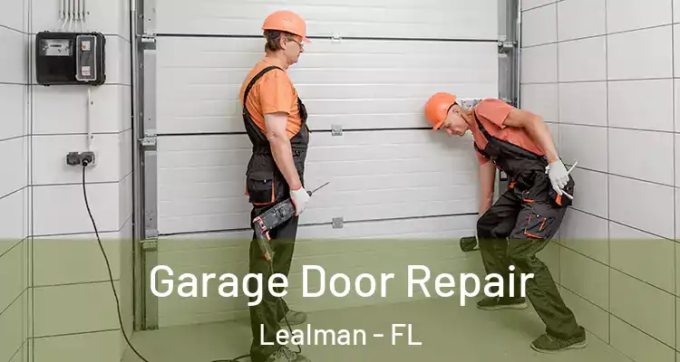  Garage Door Repair Lealman - FL