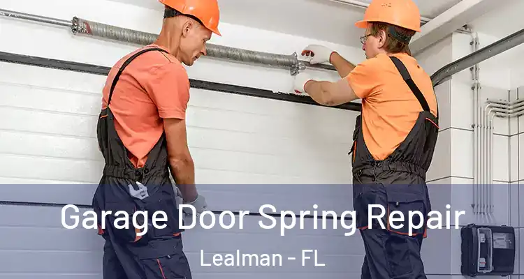  Garage Door Spring Repair Lealman - FL