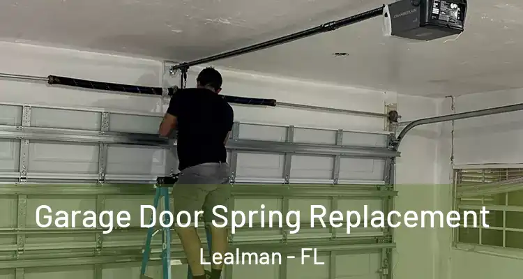  Garage Door Spring Replacement Lealman - FL