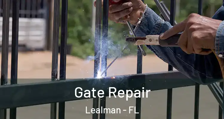  Gate Repair Lealman - FL
