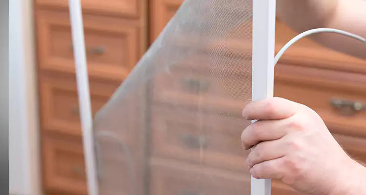 Privacy Mesh Screen Door Installation in Lealman, FL