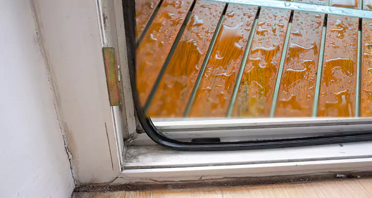 Water Leaking Wooden Patio Doors Repair in Lealman, FL