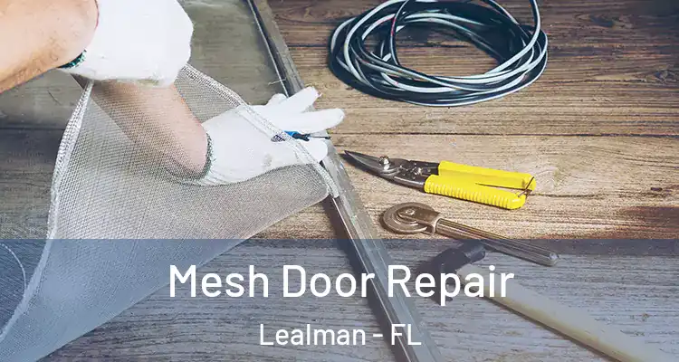  Mesh Door Repair Lealman - FL