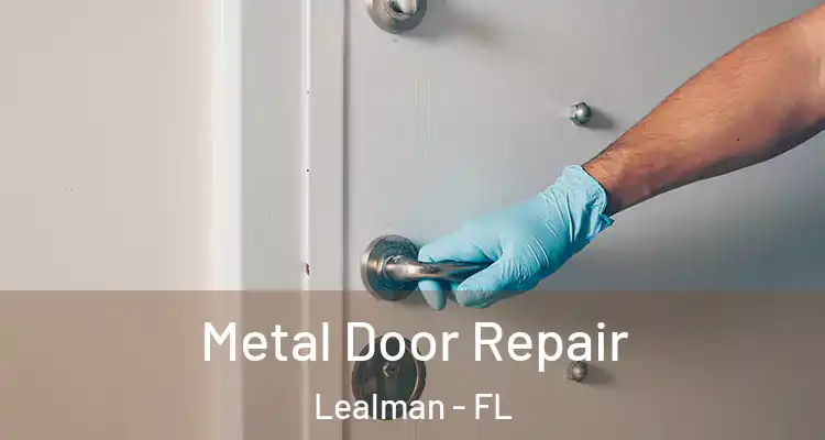  Metal Door Repair Lealman - FL