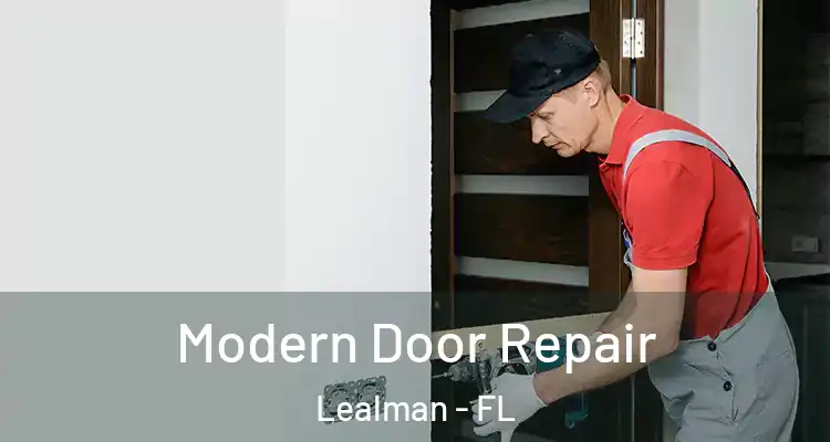  Modern Door Repair Lealman - FL