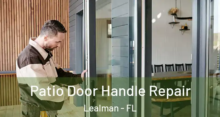  Patio Door Handle Repair Lealman - FL