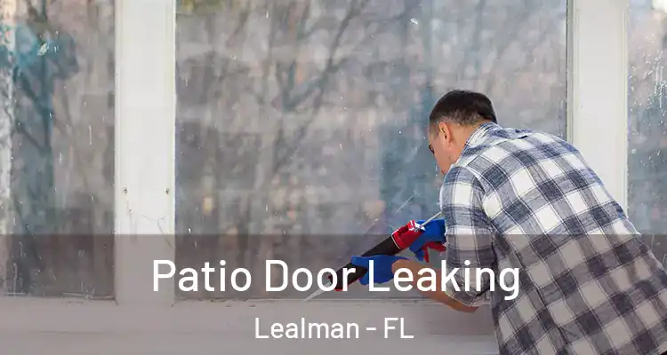  Patio Door Leaking Lealman - FL