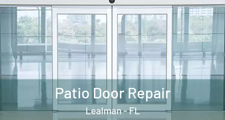  Patio Door Repair Lealman - FL