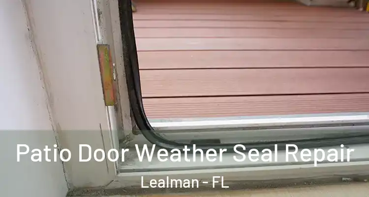  Patio Door Weather Seal Repair Lealman - FL