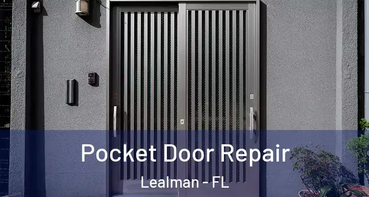  Pocket Door Repair Lealman - FL