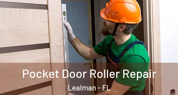  Pocket Door Roller Repair Lealman - FL