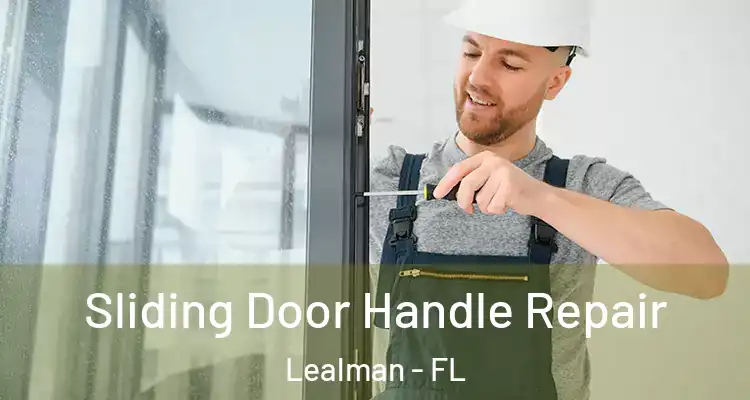  Sliding Door Handle Repair Lealman - FL