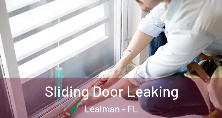  Sliding Door Leaking Lealman - FL