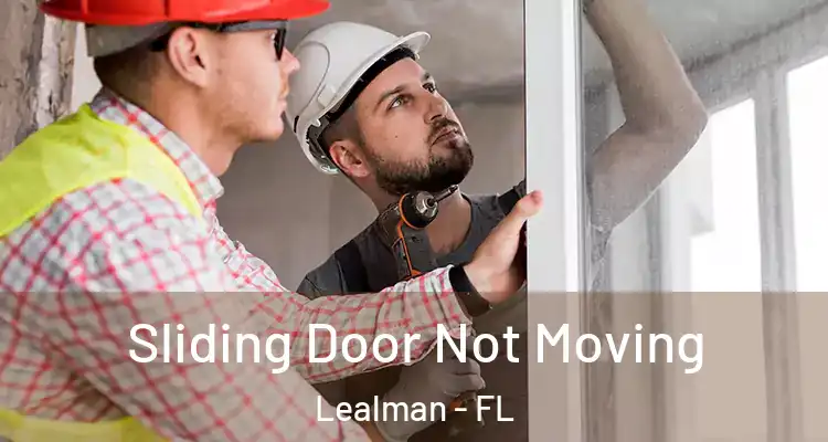  Sliding Door Not Moving Lealman - FL