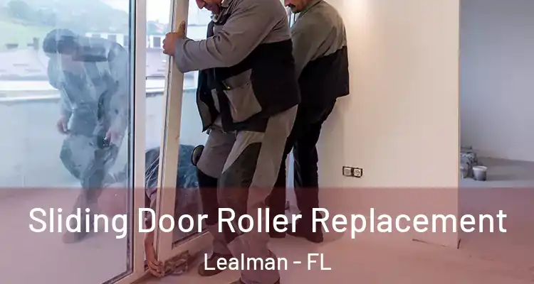  Sliding Door Roller Replacement Lealman - FL