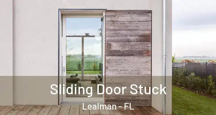  Sliding Door Stuck Lealman - FL