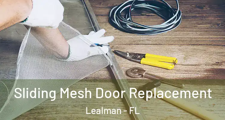  Sliding Mesh Door Replacement Lealman - FL