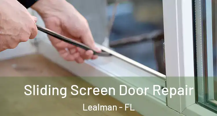  Sliding Screen Door Repair Lealman - FL