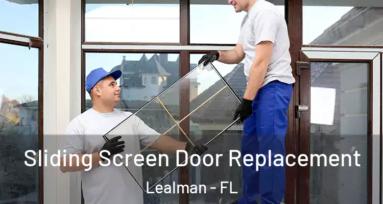  Sliding Screen Door Replacement Lealman - FL